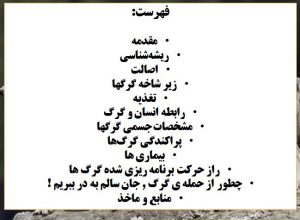 تحقیق گرگها