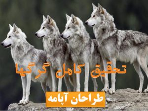 پاورپوینت گرگها