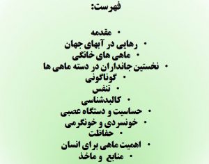 پاورپوینت ماهی ها