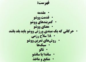 پاورپوینت ووشو