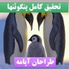 پاورپوینت پنگوئن