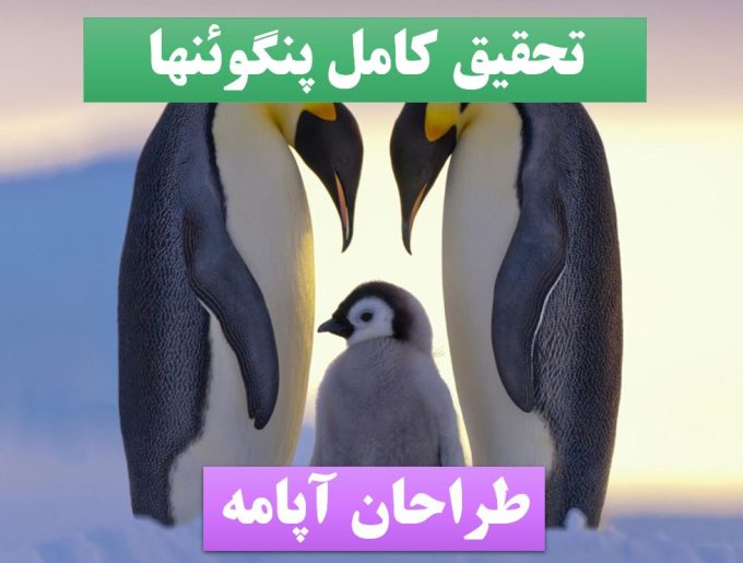 پاورپوینت پنگوئن