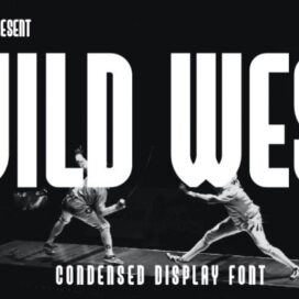 فونت رایگان WILD WEST