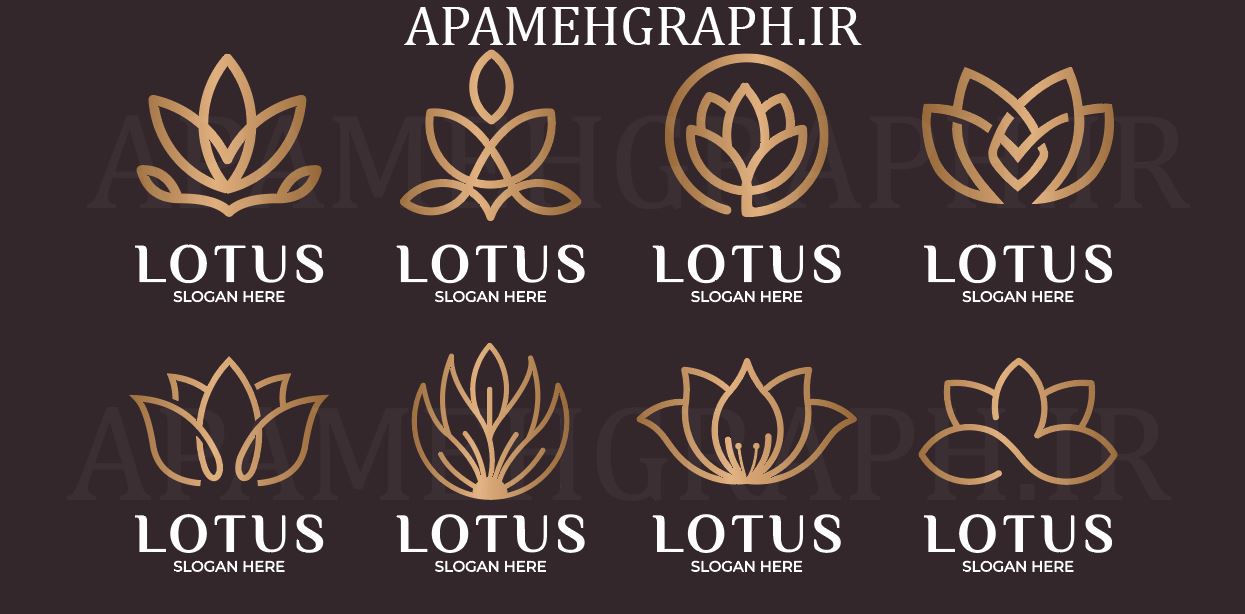 LOTUSVECTOR لوگو انواع گل لوتوس