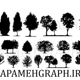 وکتور انواع درخت