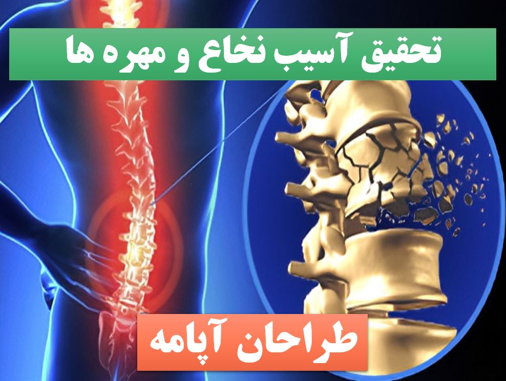 پاورپوینت آسیب نخاع