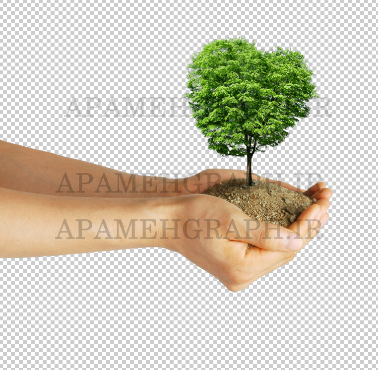 دست و خاک و درخت png