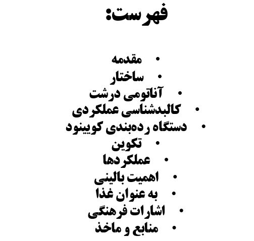 پاورپوینت کبد