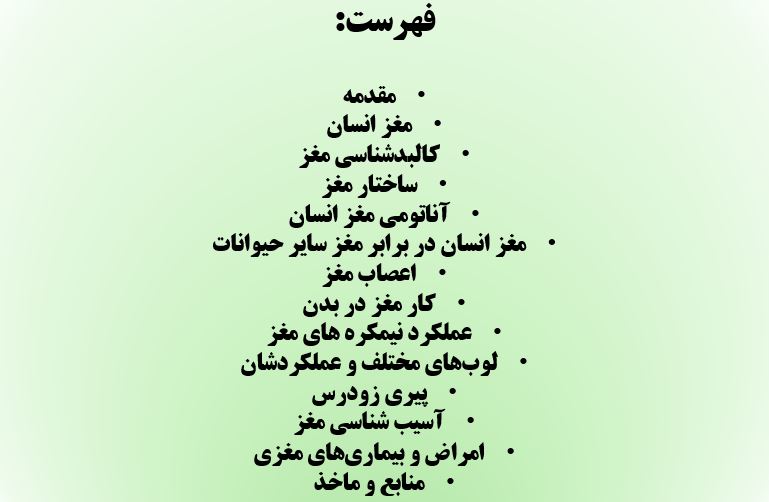 پاورپوینت مغز انسان