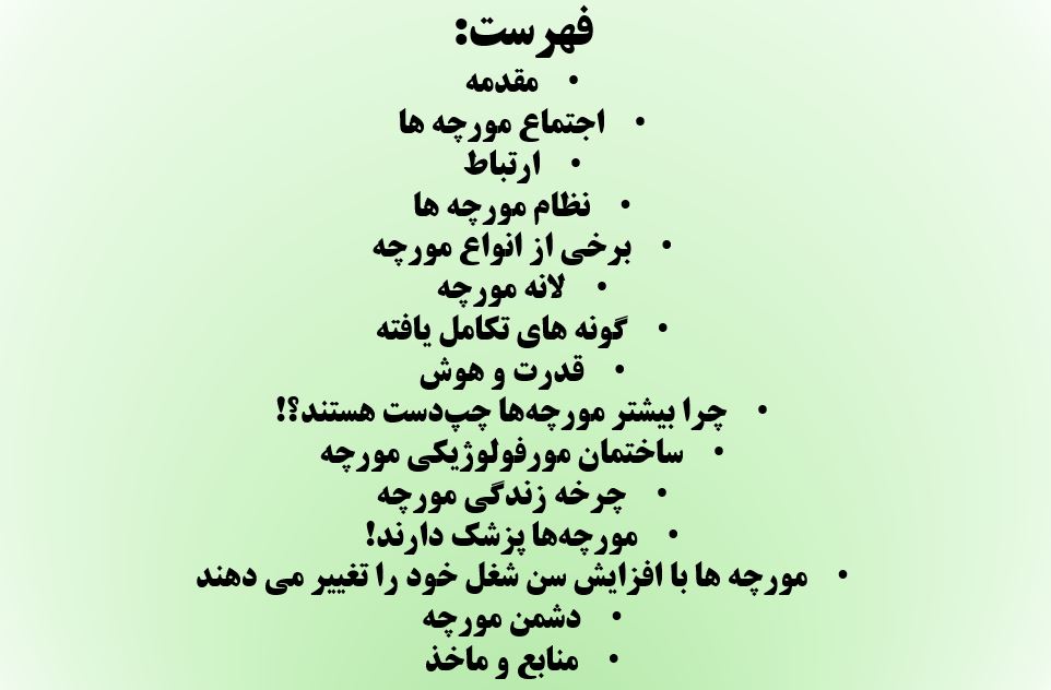 پاورپوینت مورچه ها