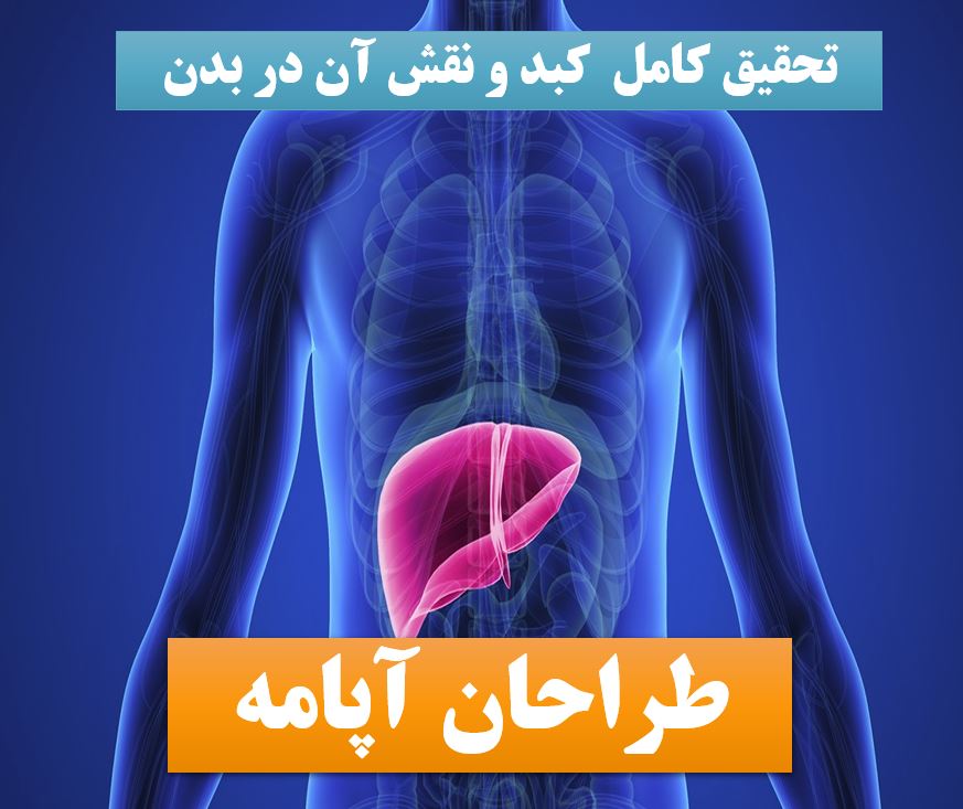 تحقیق پاورپوینت کبد