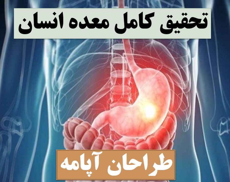 تحقیق پاورپوینت معده