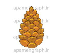 وکتور میوه کاج