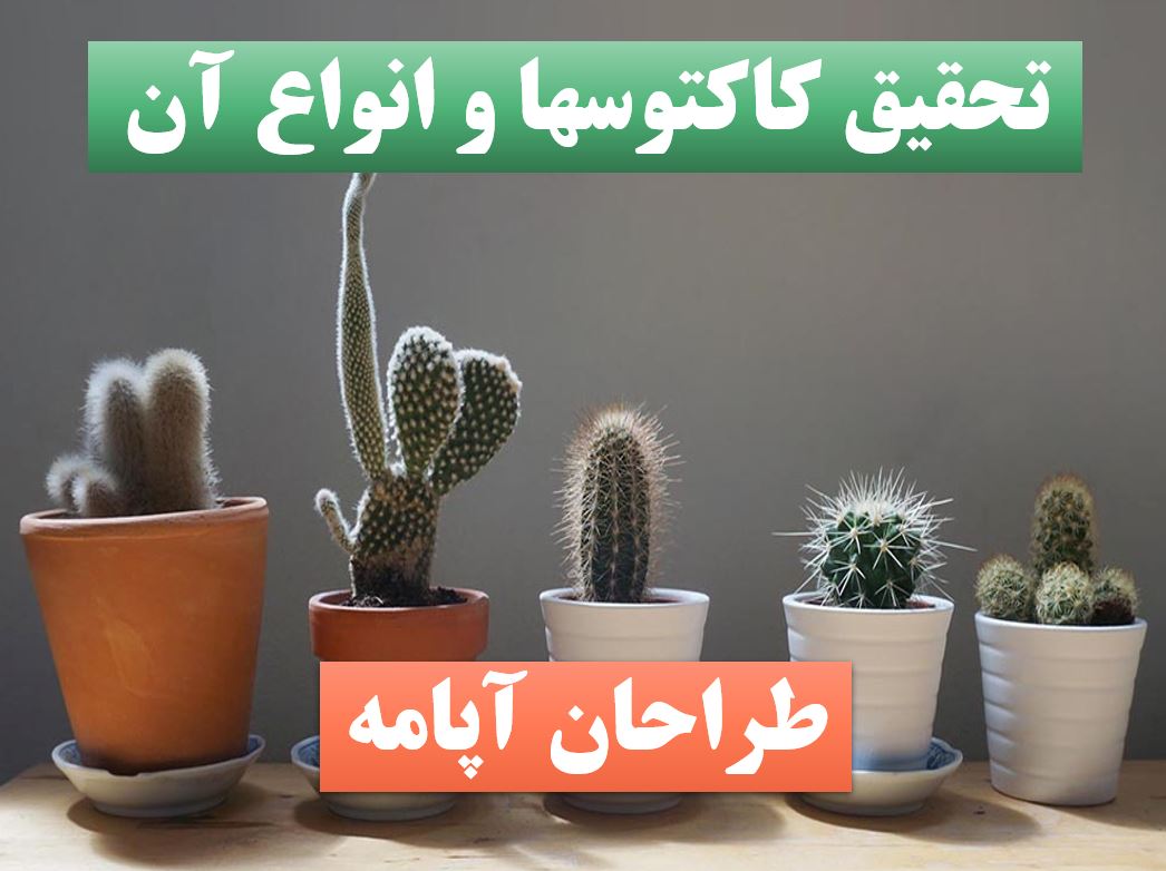 پاورپینت کاکتوسها