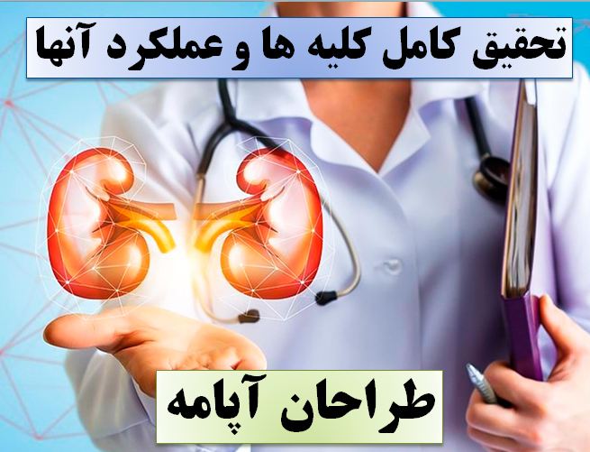 تحقیق کلیه ها