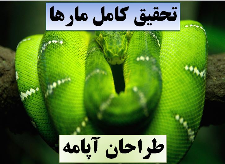 تحقیق مارها