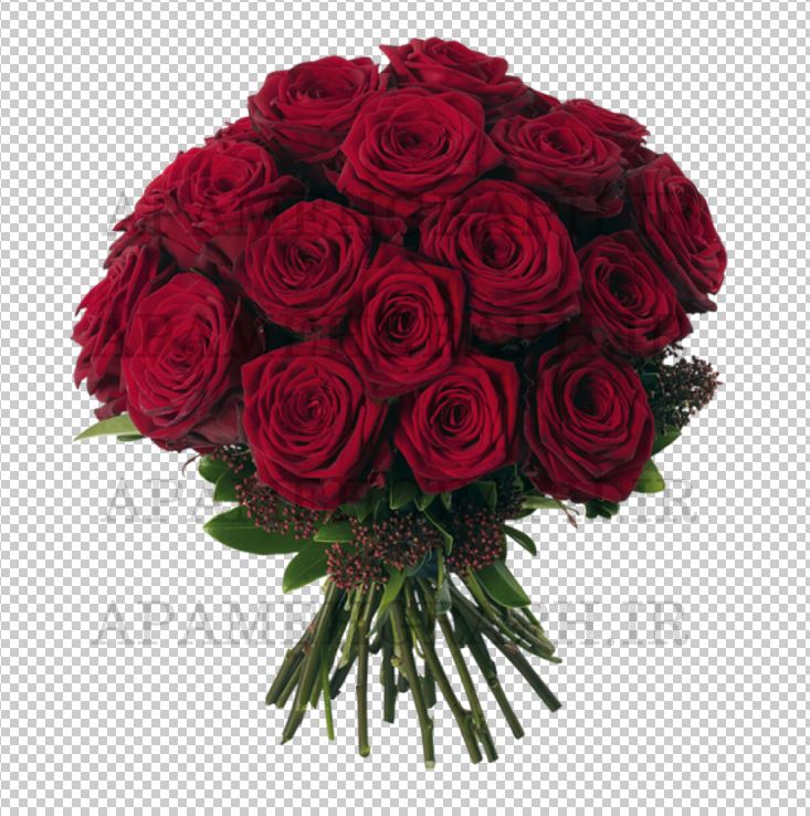 گل رز png